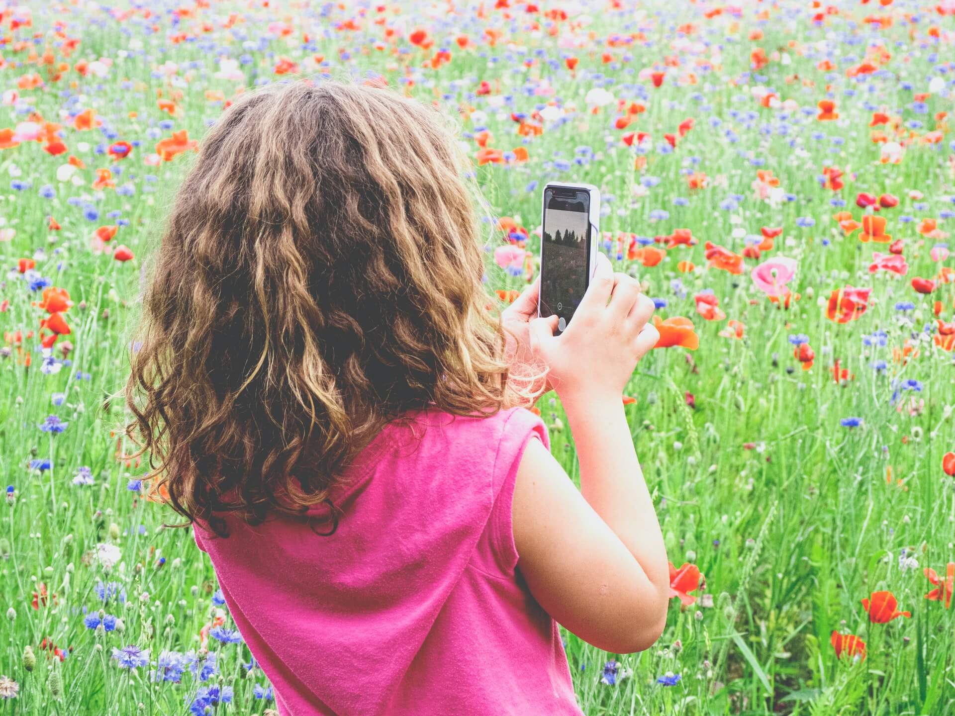 Dziewczynka stoi tyłem i robi telefonem zdjęcia pola wypełnionego makami. 