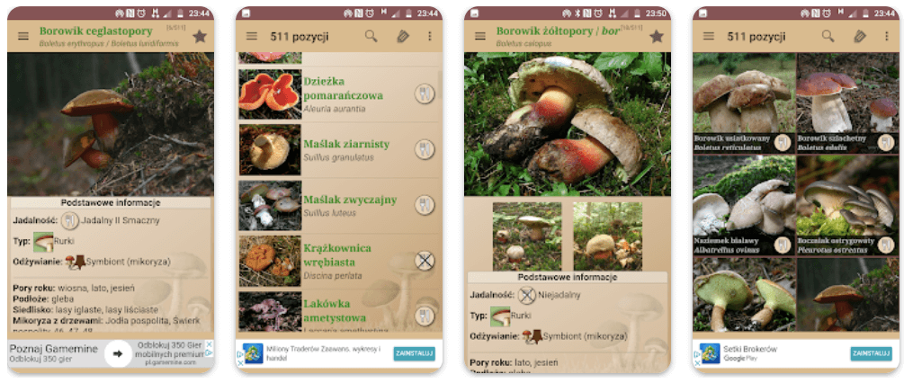 Aplikacja Atlas grzybów